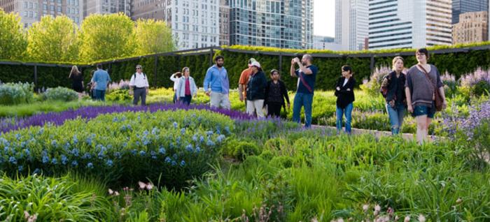 a tour guide showing tourists Lurie Gardens