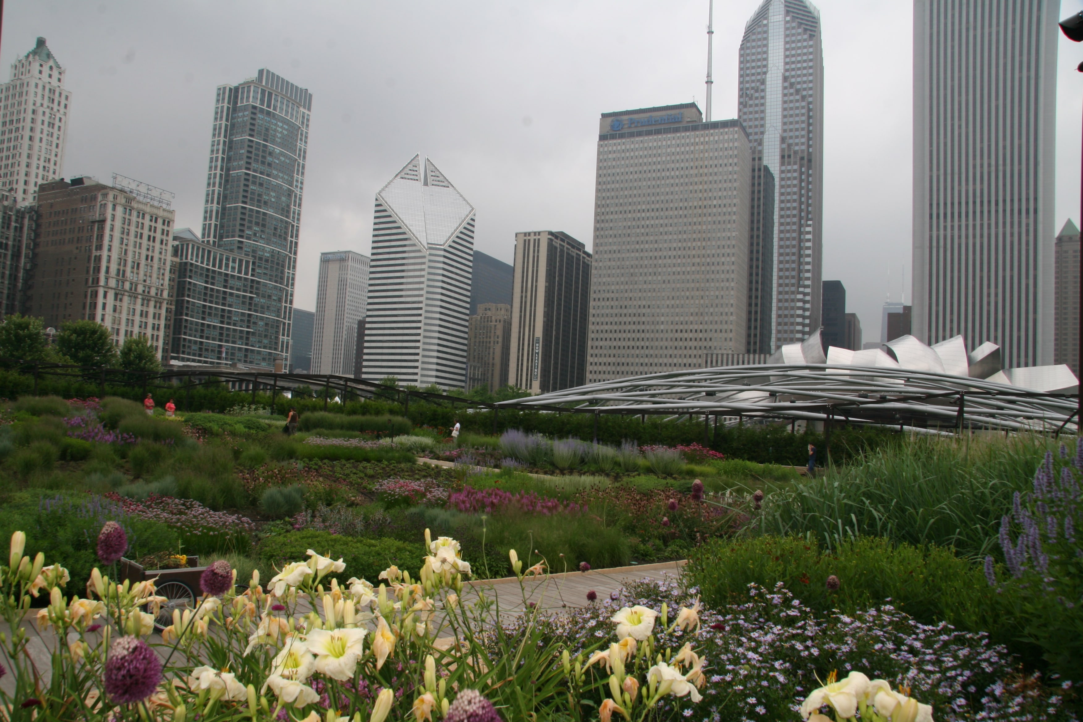 Low shot of the Lurie Gardens