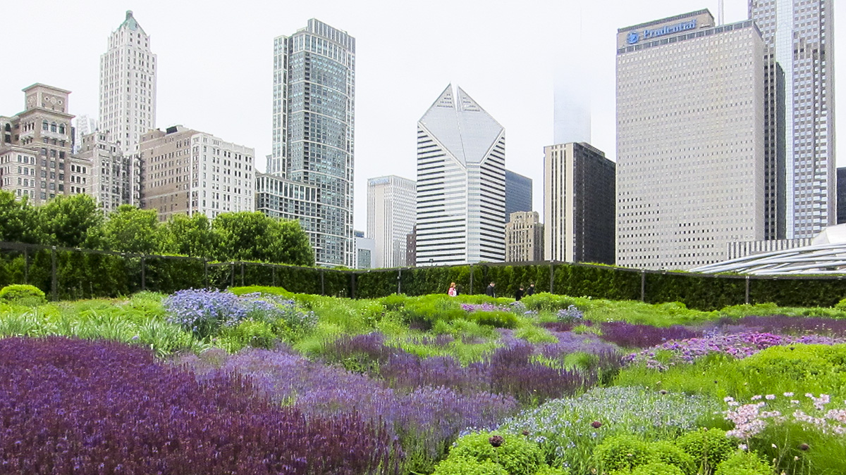 Side shot of the gardens